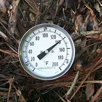 Two day old tree mulch showing 140 degrees on long stemmed thermometer
