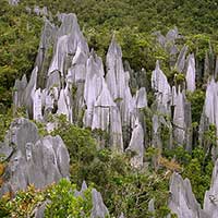 The Mulu Pinnacles viewed from Gunung Api in Gunung Mulu National Park, Sarawak, Malaysia.