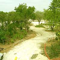This photo of the Jungle to be, was taken from the second floor of the main building on February 2002.