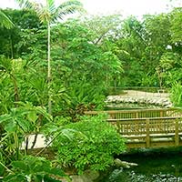 View of the Jungle River looking towards the front of the Park. Photo taken June 2004.