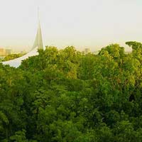 The same view looking across the Jungle canopy