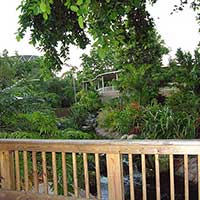 view looking to the Jungle over the Jungle River