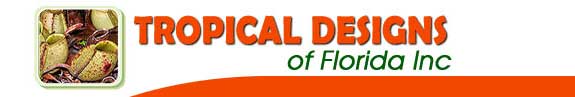 Tropical Designs logo