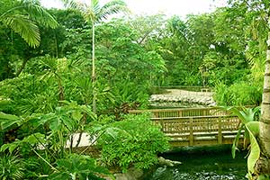 Gardens at Parrot Jungle Island